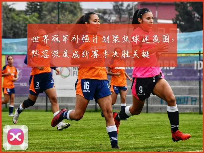 世界冠军补强计划聚焦球迷氛围,阵容深度成新赛季决胜关键